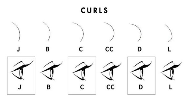 Eyelash Extensions Curl Types Chart Eyelash Extensions Curl Types Chart